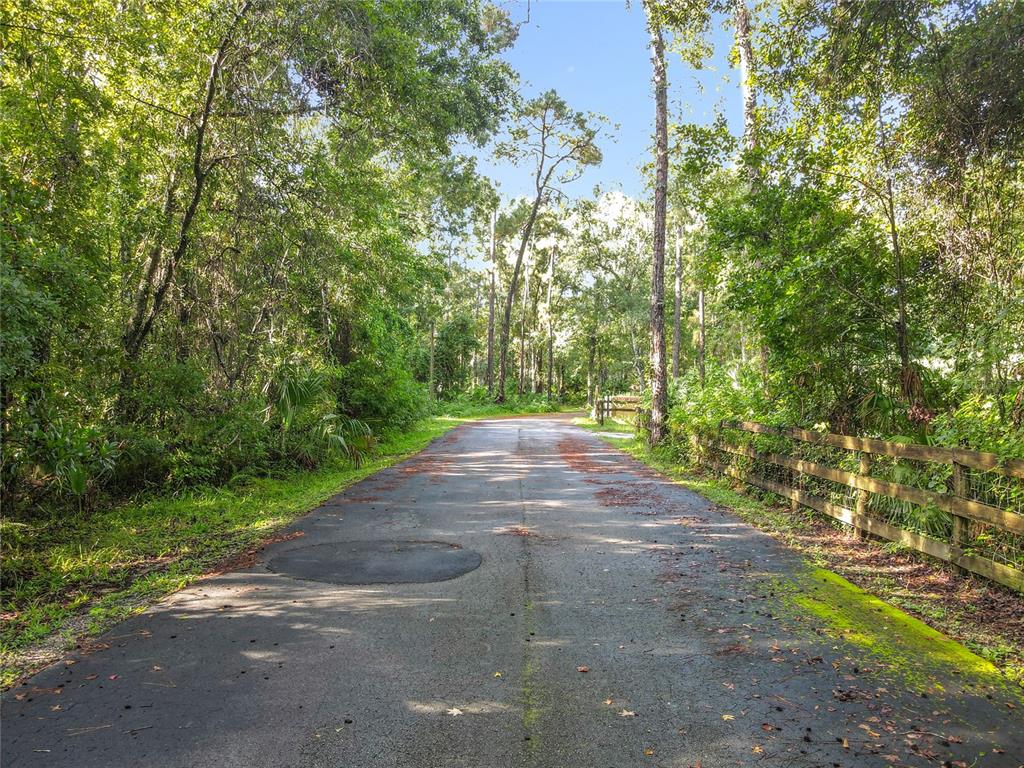 Panther Road Oviedo, FL 32765 - Photo 15 of 24 a view of outdoor space and yard