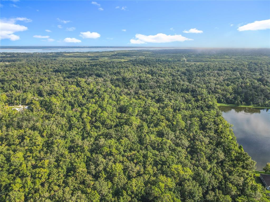 Panther Road Oviedo, FL 32765 - Photo 18 of 24 a view of a lake and a yard