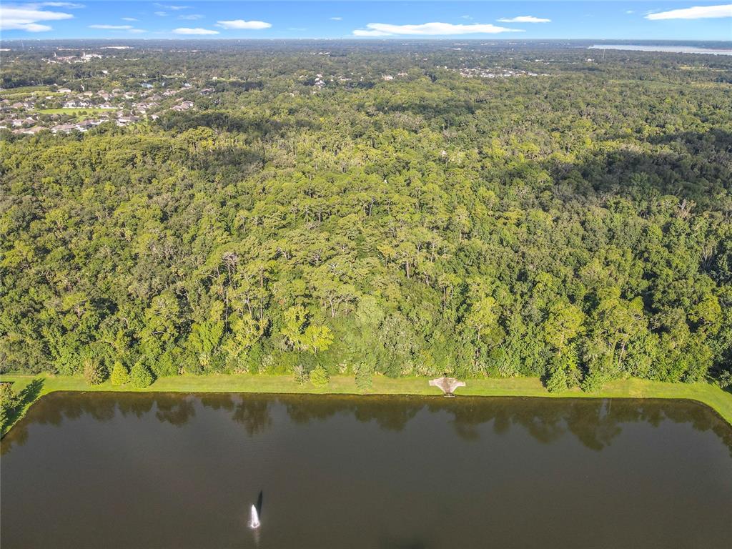 Panther Road Oviedo, FL 32765 - Photo 20 of 24 a view of mountain with green field