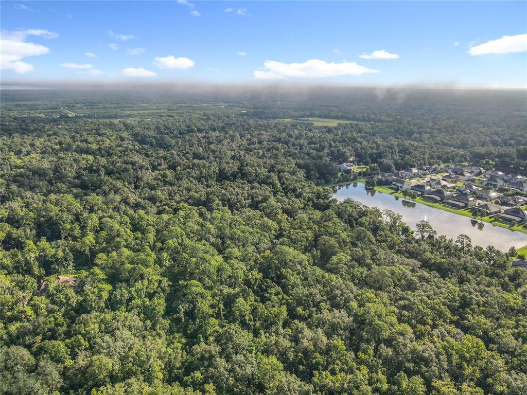 Panther Road Oviedo, FL 32765 - Photo 7 of 24 an aerial view of residential houses with outdoor space and trees