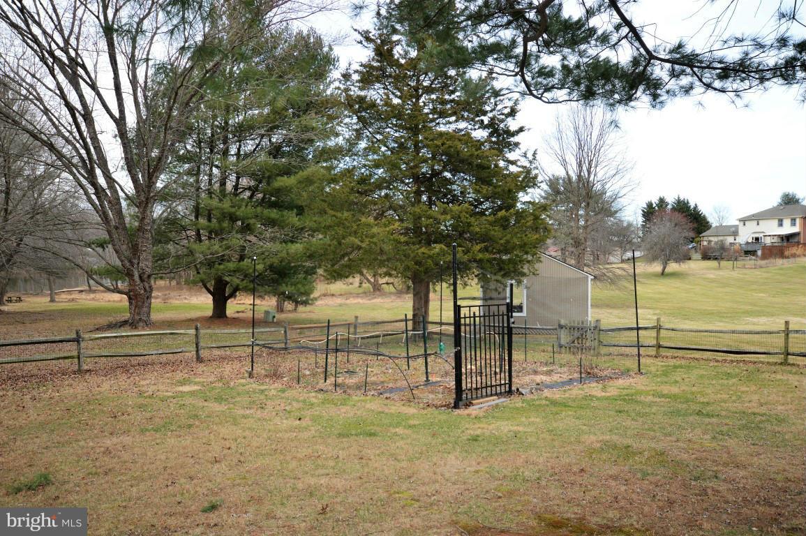 4202 High Ridge Road Haymarket, VA 20169 - Photo 27 of 30 Garden