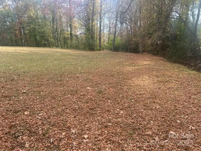 a view of outdoor space and yard