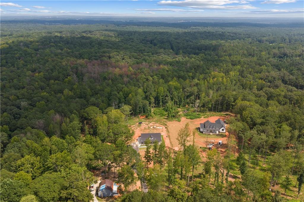 1175 Burwell Mt Zion Road Carrollton, GA 30117 - Photo 27 of 29 a view of a yard and mountain view in back