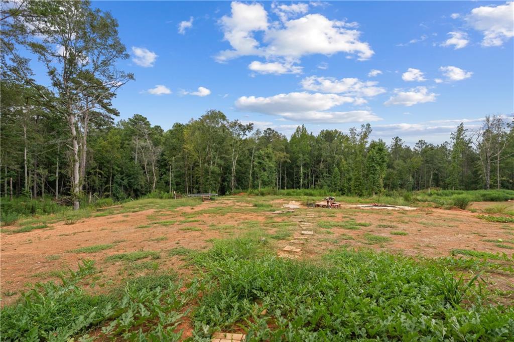 1175 Burwell Mt Zion Road Carrollton, GA 30117 - Photo 28 of 29 a view of a yard with a tree