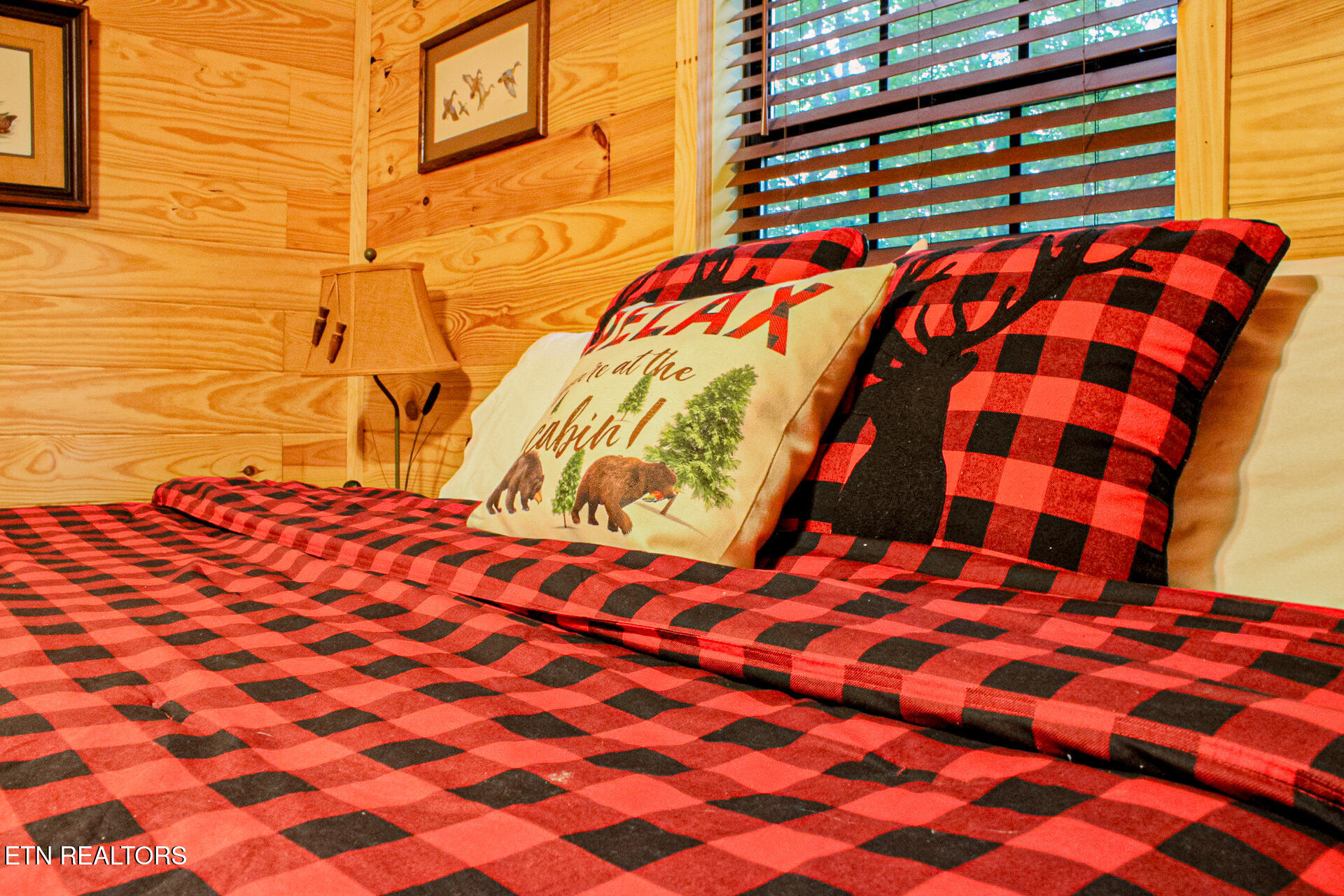 759 Ridgefield Drive Sevierville, TN 37876 - Photo 14 of 43 IMG_0585