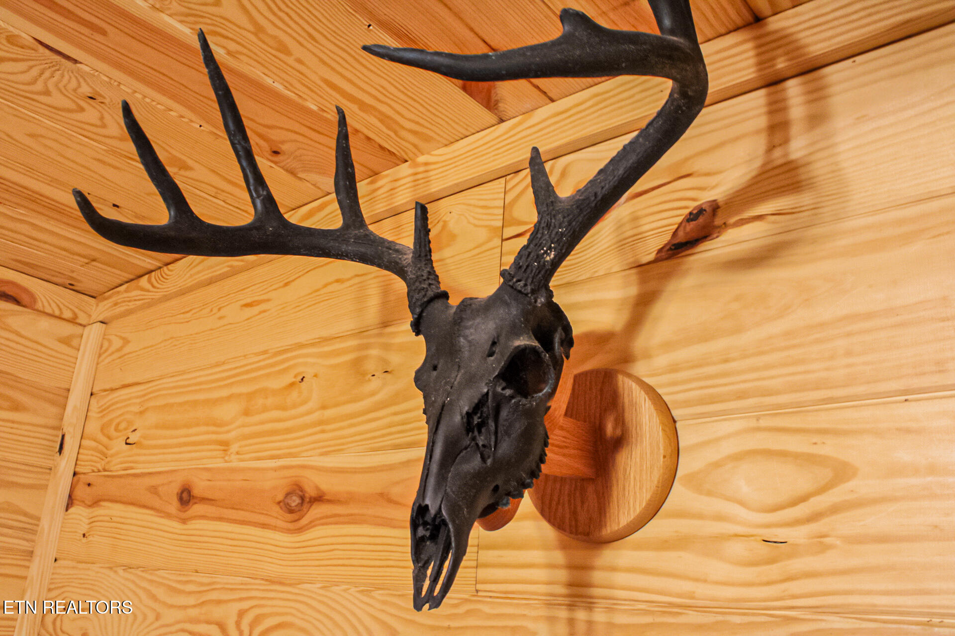 759 Ridgefield Drive Sevierville, TN 37876 - Photo 19 of 43 IMG_0599