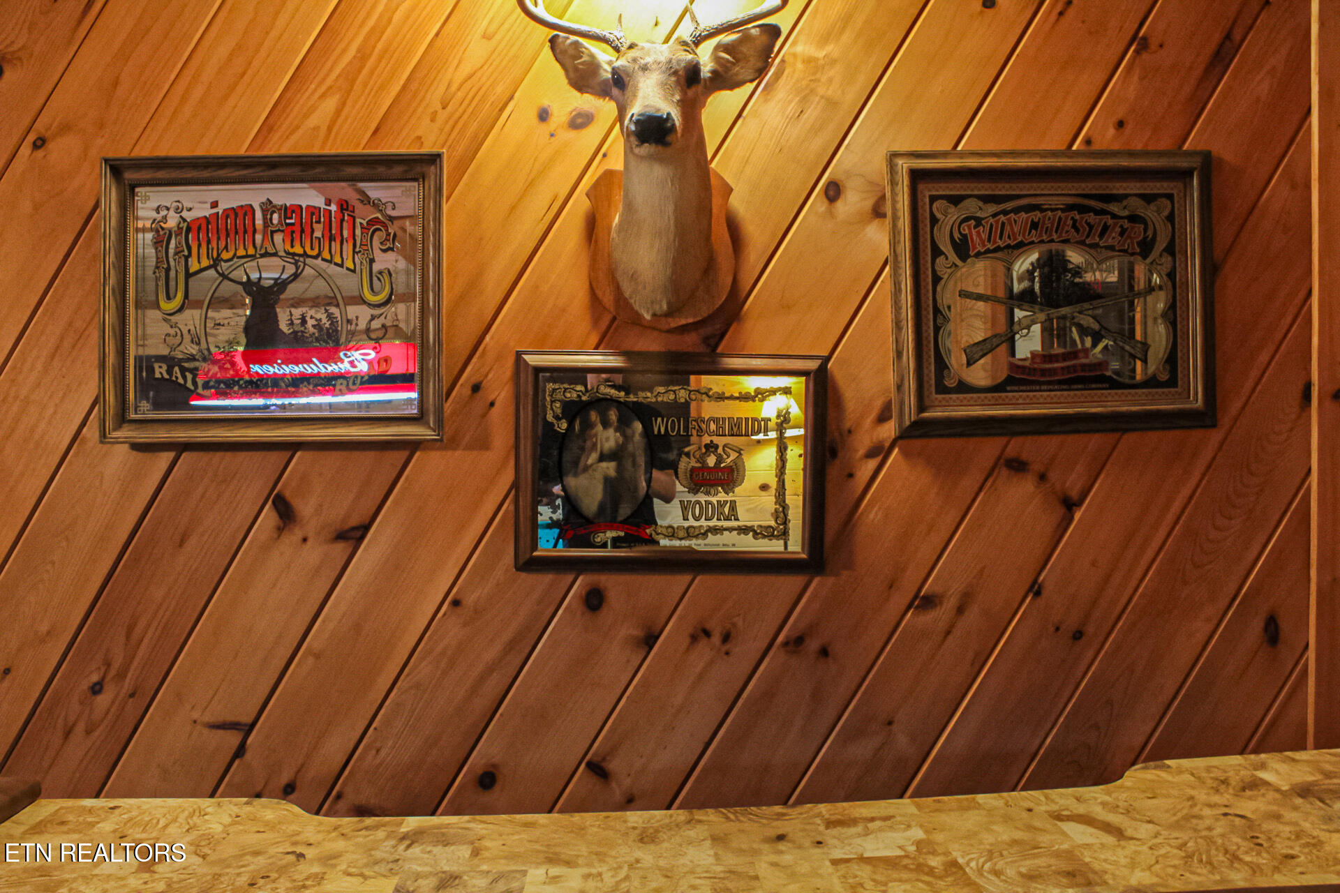 759 Ridgefield Drive Sevierville, TN 37876 - Photo 35 of 43 IMG_0650