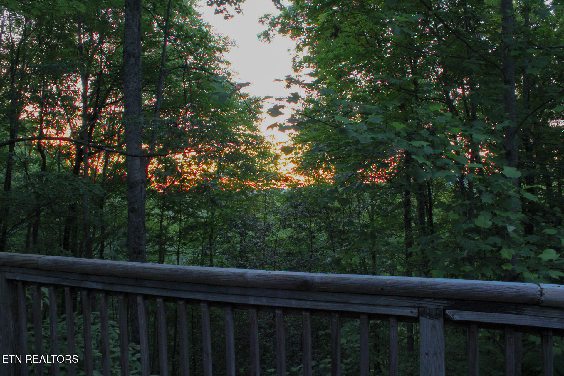 759 Ridgefield Drive Sevierville, TN 37876 - Photo 43 of 43 IMG_0673