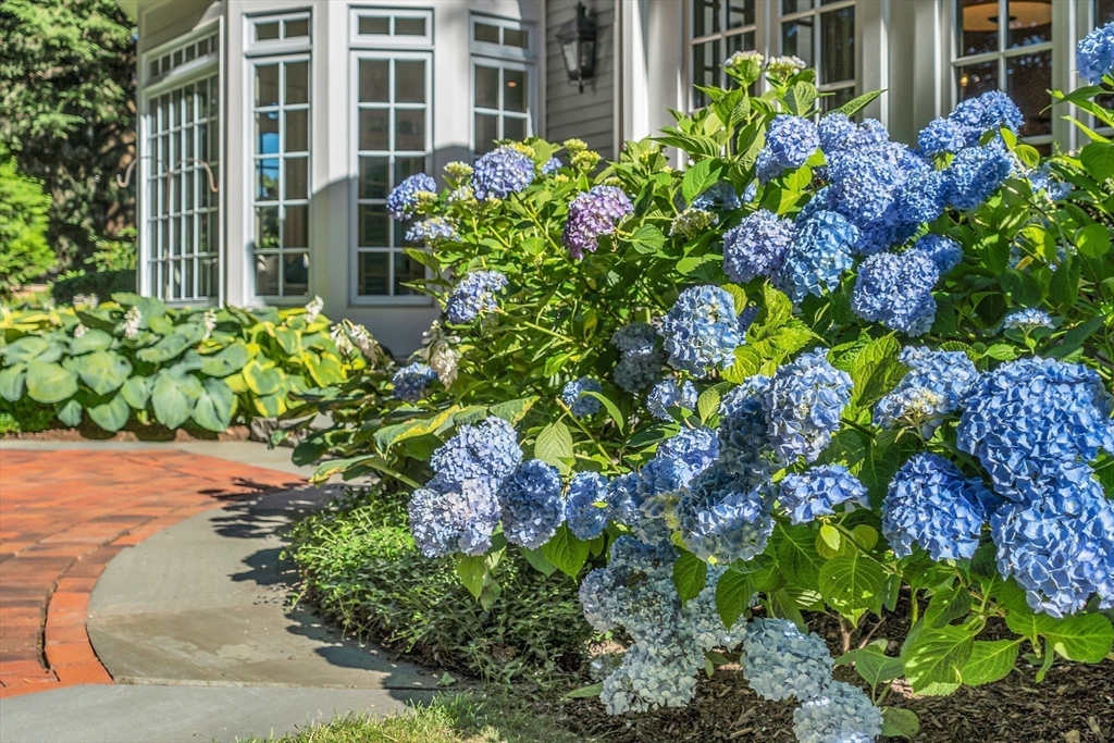15 Rockridge Road Wellesley, MA 02481 - Photo 15 of 36 front view of a house with a lot of flower plants