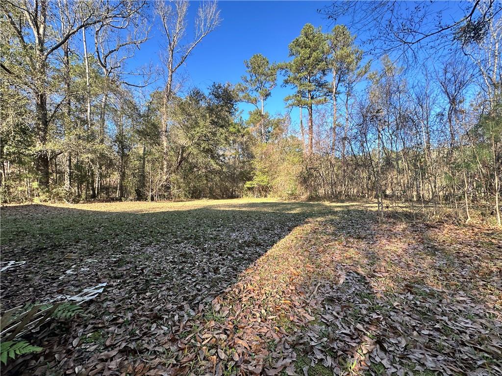 20402 Doris Road Covington, LA 70433 - Photo 17 of 17