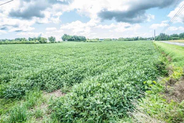 $1,899,000 | Lt1 North Town Line Road, Germantown, WI 53022