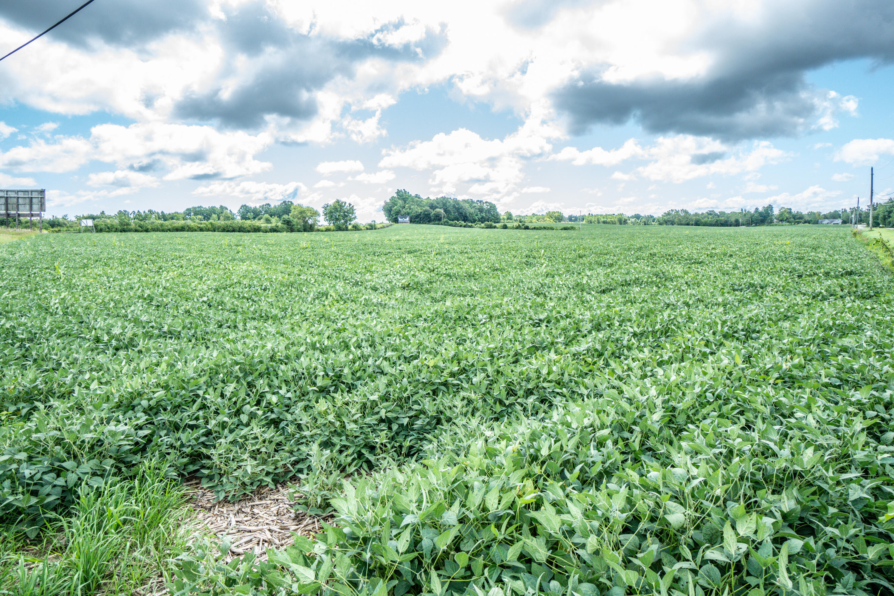 Lt1 North Town Line Road Germantown, WI 53022 - Photo 8 of 17 DSC01118