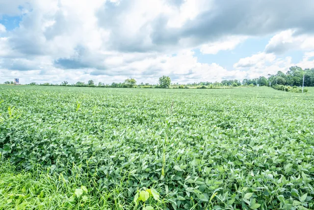 $1,899,000 | Lt1 North Town Line Road, Germantown, WI 53022