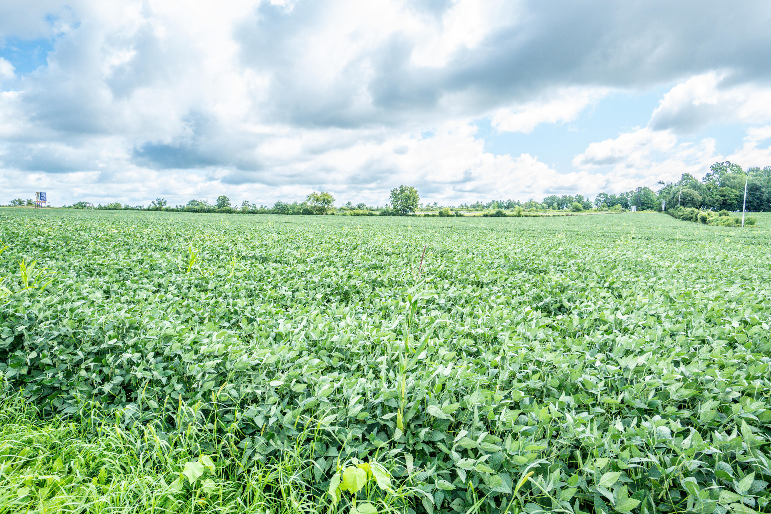 Lt1 North Town Line Road Germantown, WI 53022 - Photo 9 of 17 DSC01122