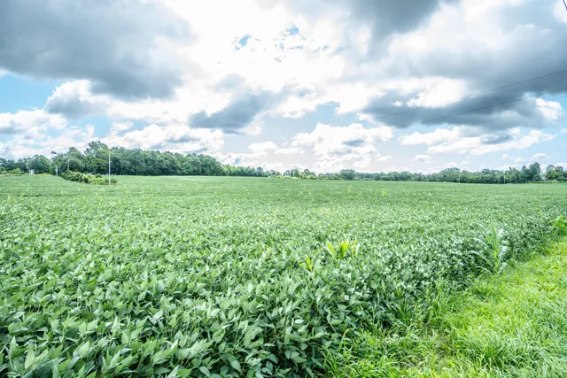 $1,899,000 | Lt1 North Town Line Road, Germantown, WI 53022