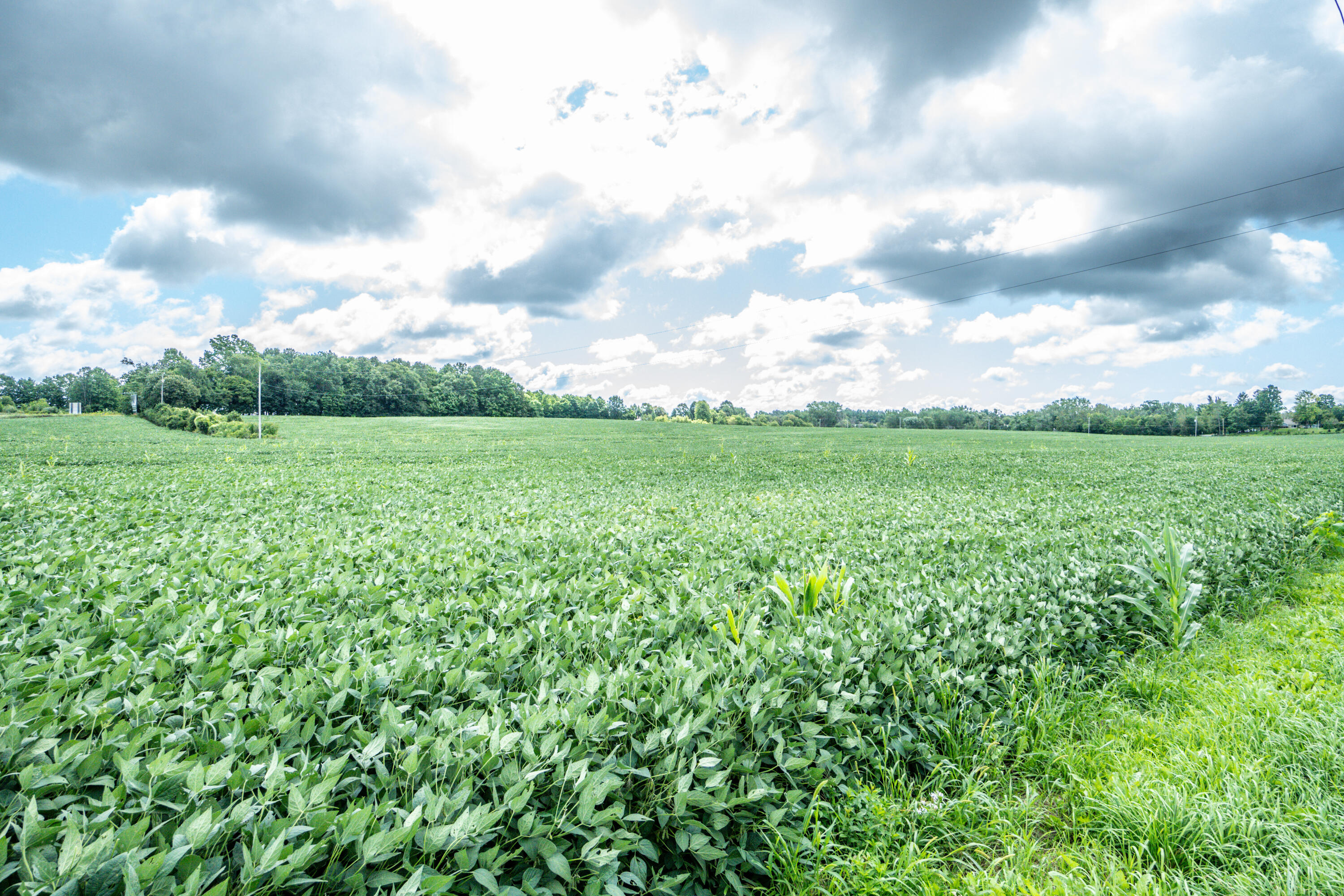 Lt1 North Town Line Road Germantown, WI 53022 - Photo 10 of 17 DSC01125