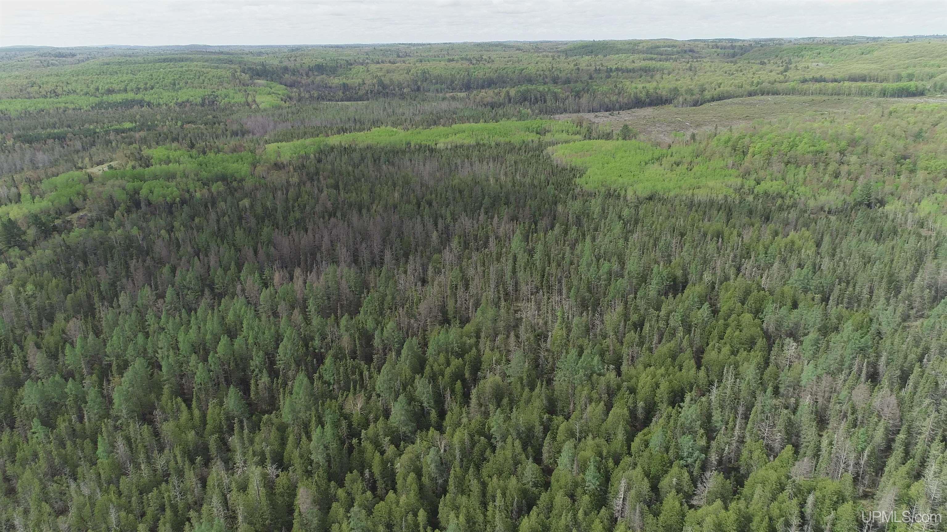 280-acres County Road CCN Road Negaunee, MI 49866 - Photo 38 of 48