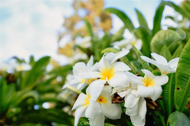 $1,399,800 | 9711 Garibaldi Avenue, Temple City, CA 91780