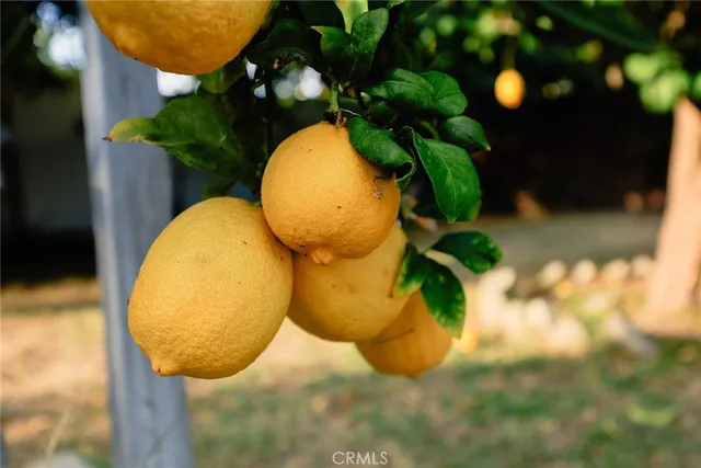 $1,398,000 | 9711 Garibaldi Avenue, Temple City, CA 91780