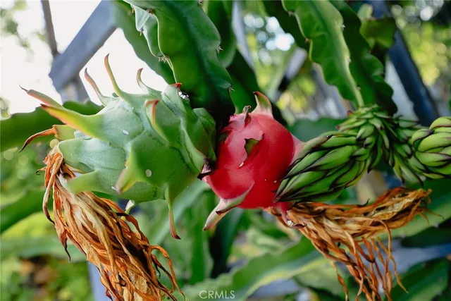 $1,398,000 | 9711 Garibaldi Avenue, Temple City, CA 91780