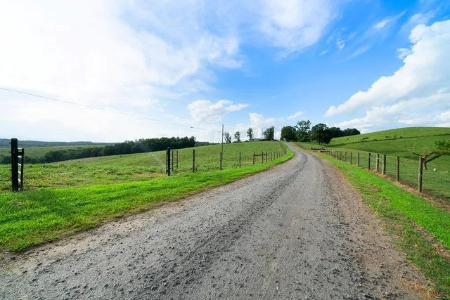 a view of a park with large trees with a big yard