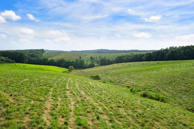 a view of a green field with wooden fence