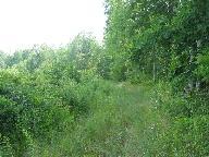 100 West Mcbride Road Pierson, MI 49339 - Photo 3 of 3 Additional Photo