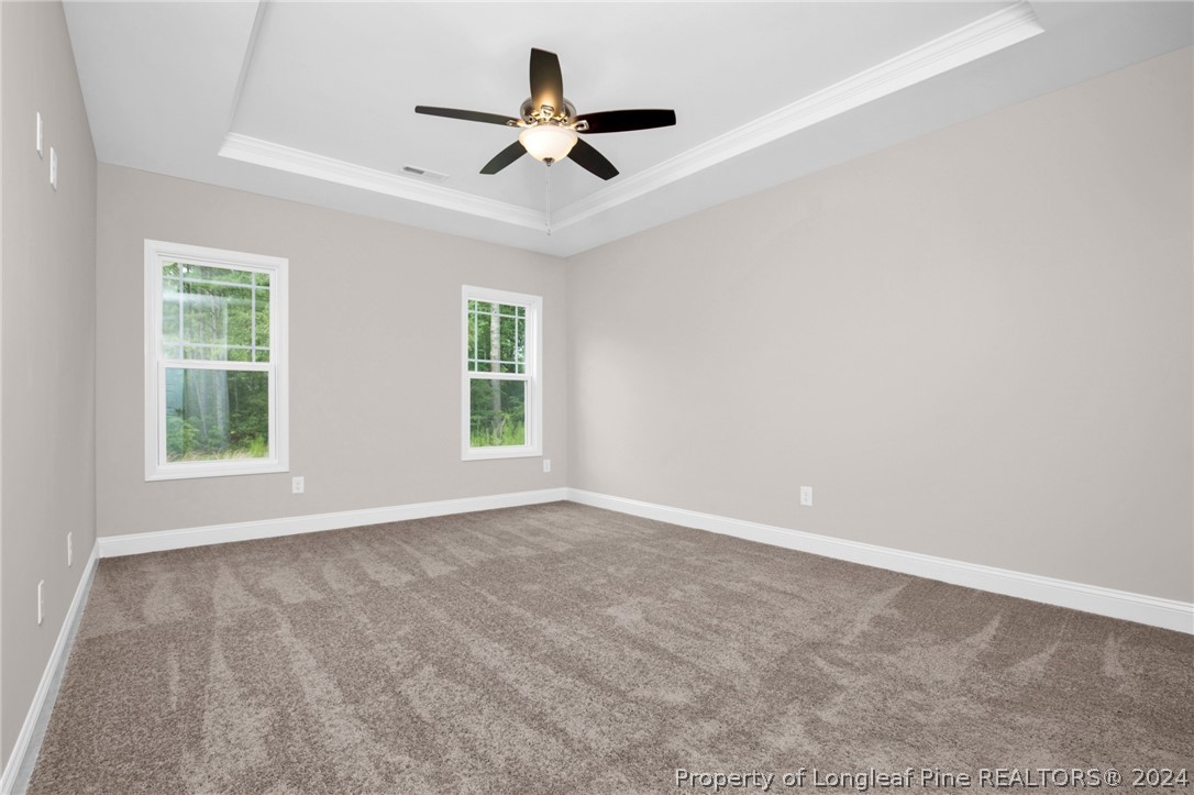 983 Palestine Road Linden, NC 28356 - Photo 22 of 37 Gallery Image 22