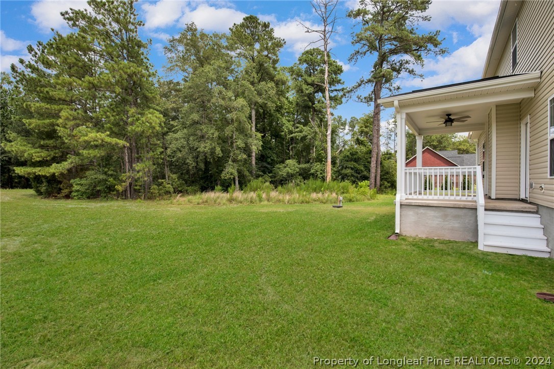 983 Palestine Road Linden, NC 28356 - Photo 8 of 37 Gallery Image 8