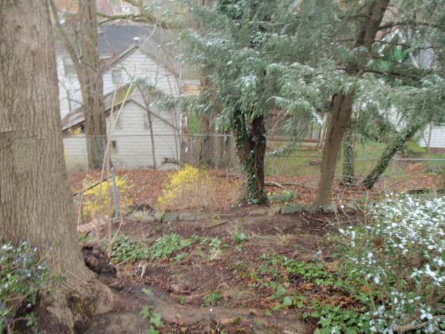 133 Ridge Avenue Bellevue, PA 15202 - Photo 24 of 25 Gallery Image 24
