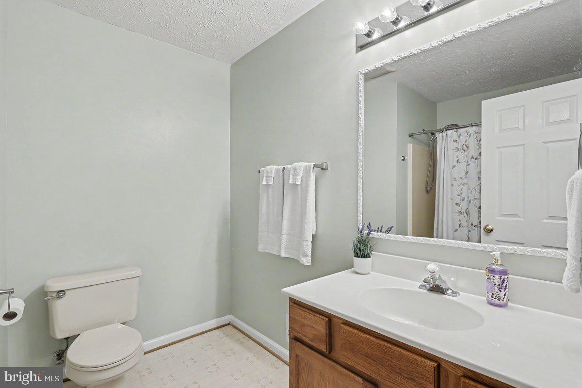 543 Whiskey Still Road Linden, VA 22642 - Photo 19 of 23 a bathroom with a sink a toilet a mirror and vanity