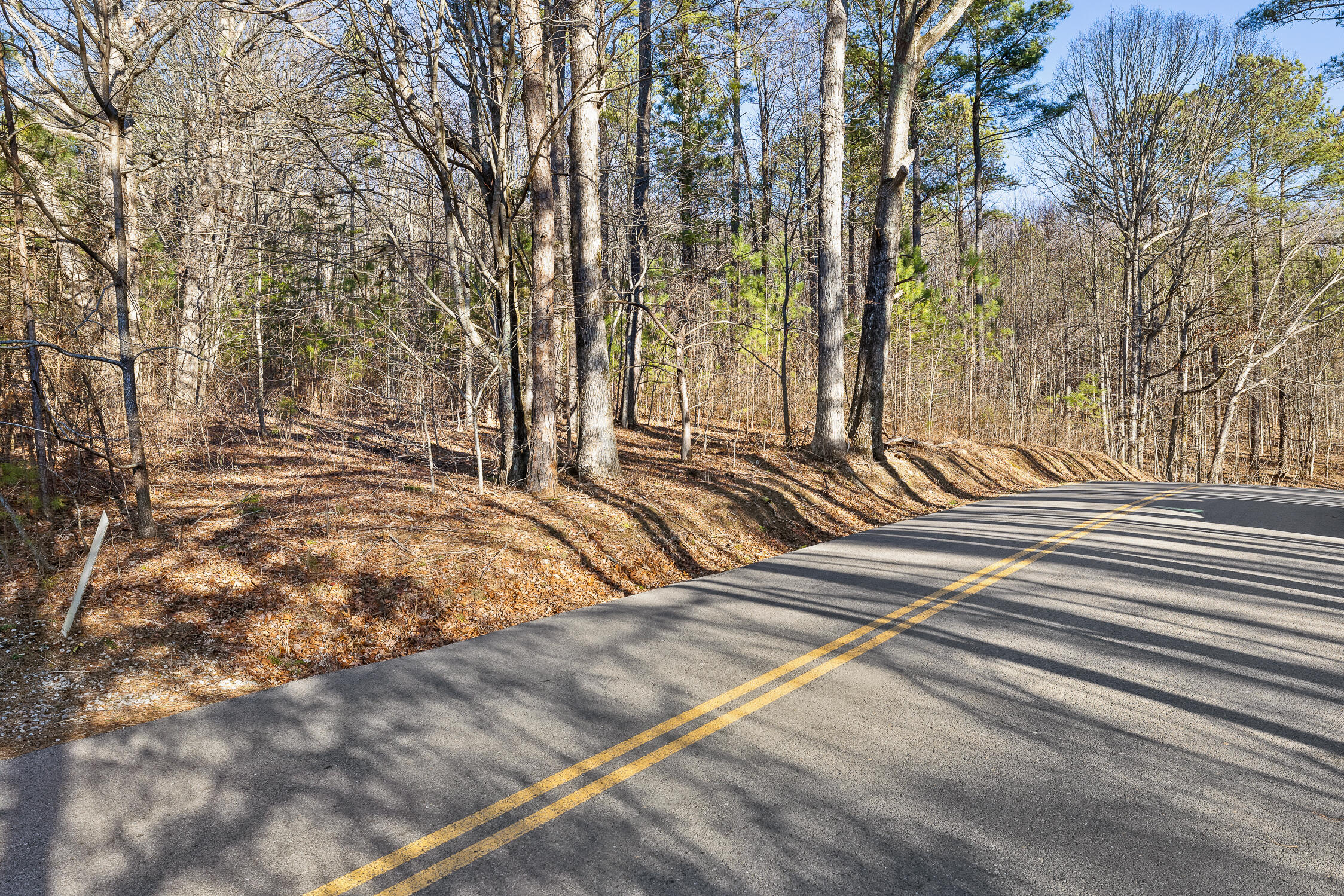 1 John Henry Lewis Road Dunlap, TN 37327 - Photo 11 of 23 1 John Henry Lewis Rd