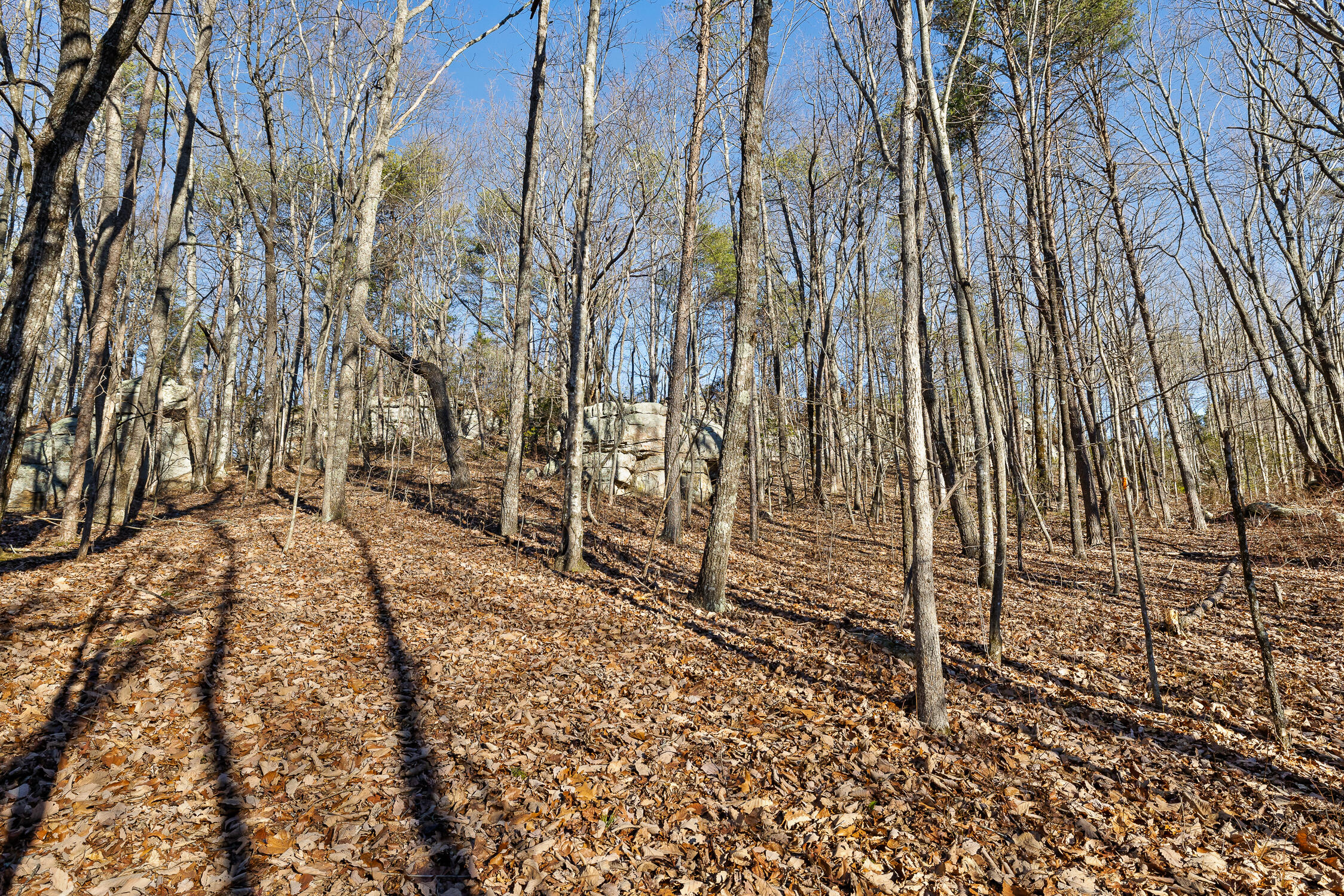 1 John Henry Lewis Road Dunlap, TN 37327 - Photo 14 of 23 1 John Henry Lewis Rd