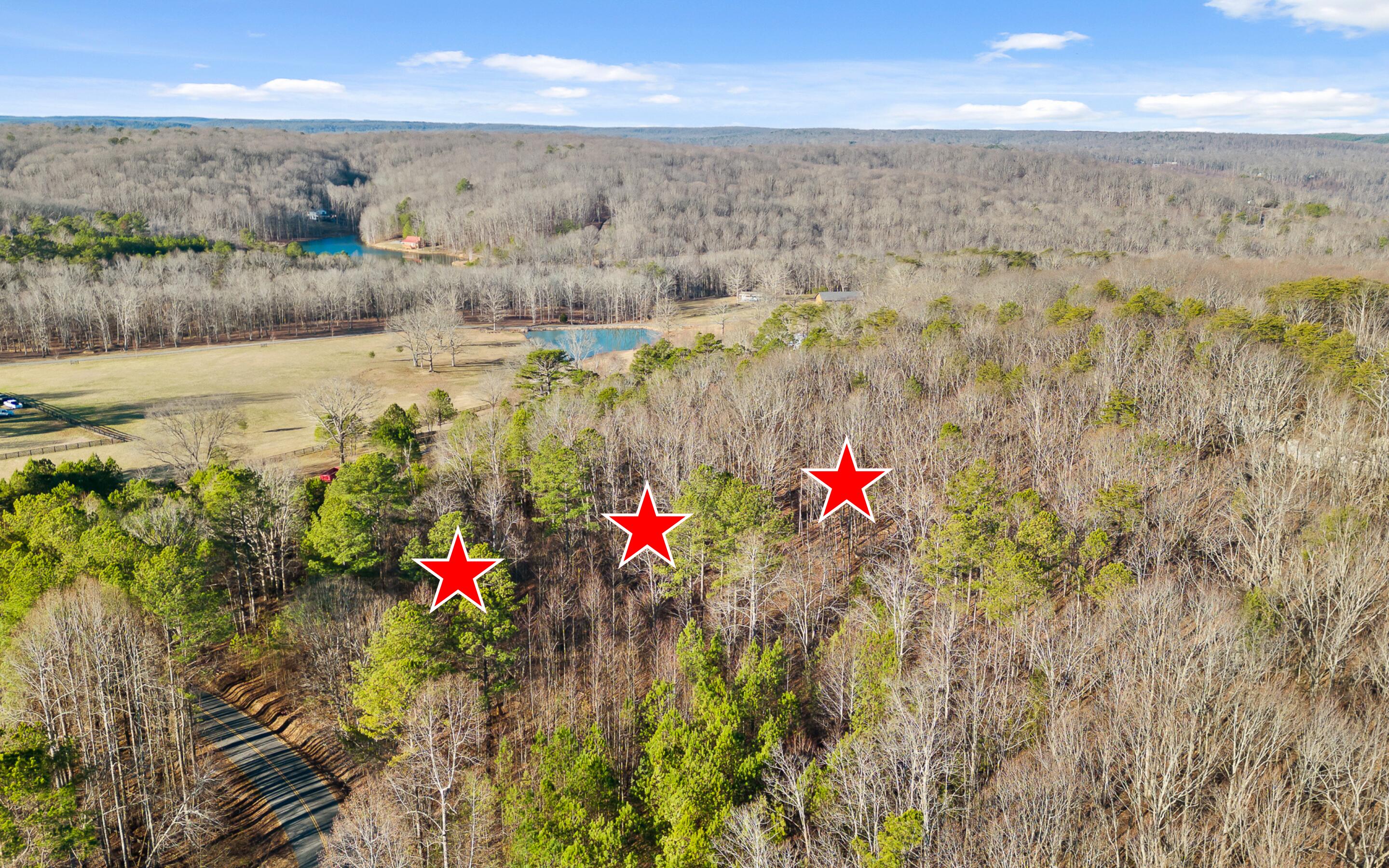 1 John Henry Lewis Road Dunlap, TN 37327 - Photo 4 of 23 1 John Henry Lewis Rd