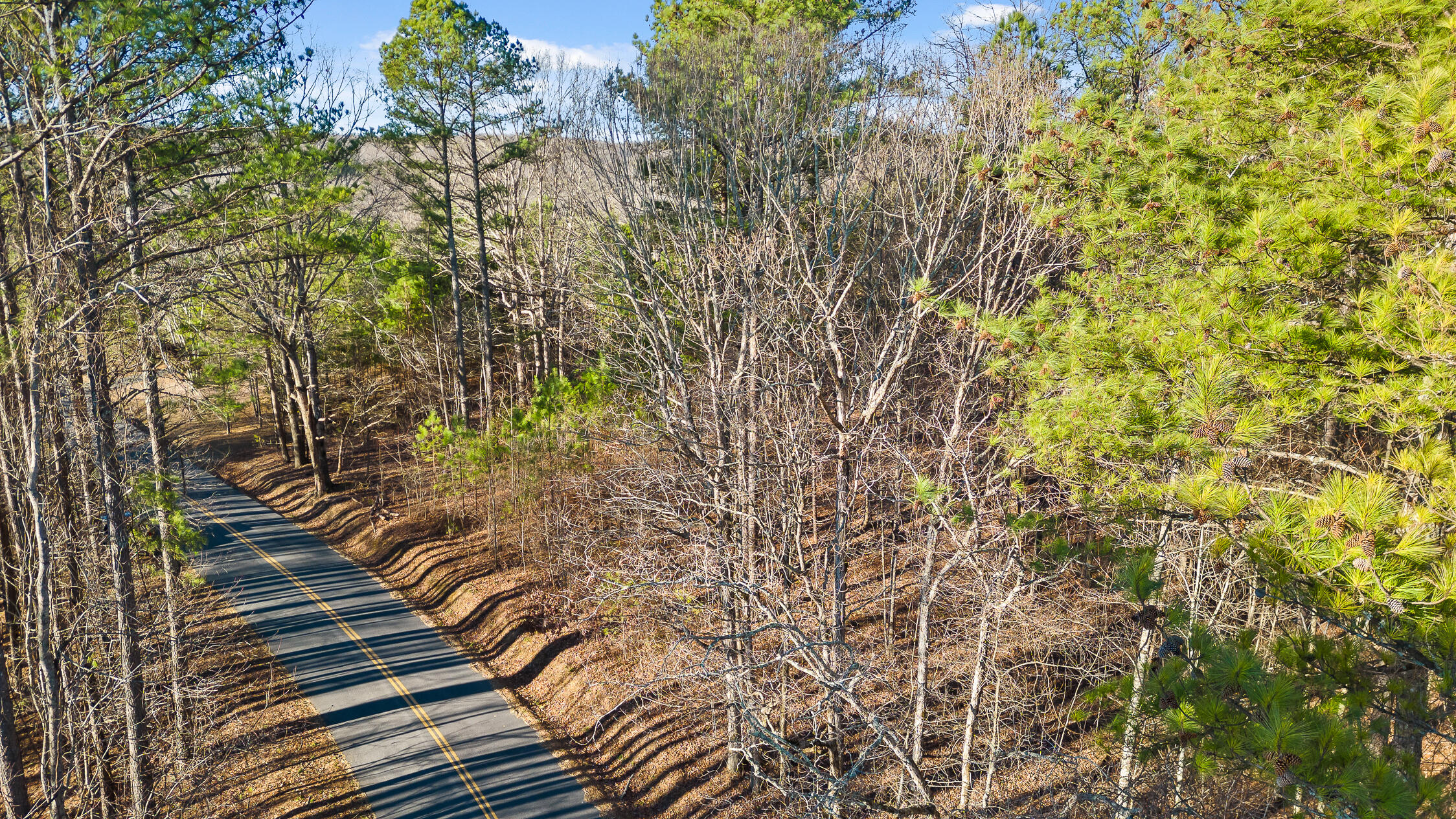1 John Henry Lewis Road Dunlap, TN 37327 - Photo 7 of 23 1 John Henry Lewis Rd