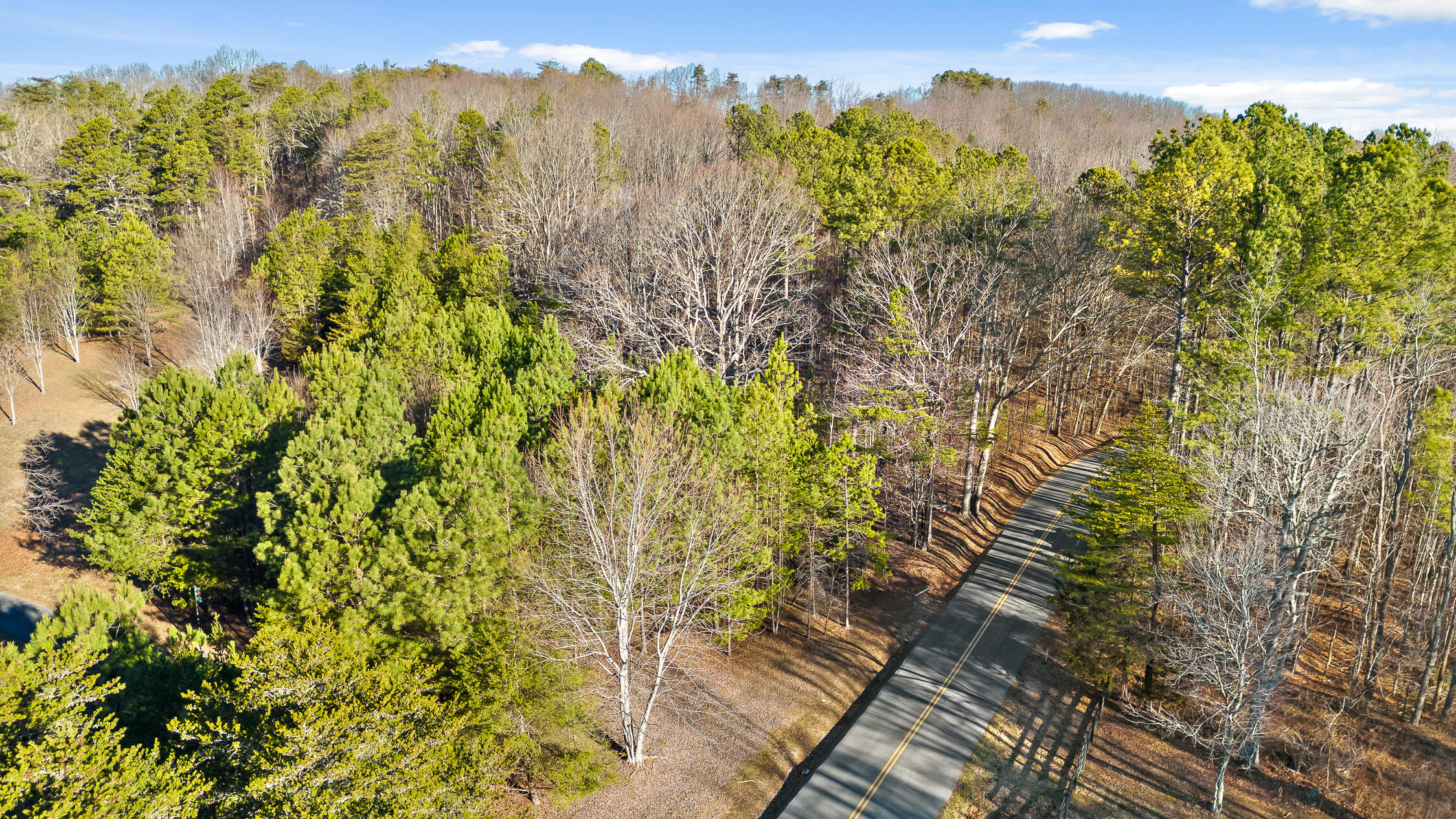 1 John Henry Lewis Road Dunlap, TN 37327 - Photo 8 of 23 1 John Henry Lewis Rd