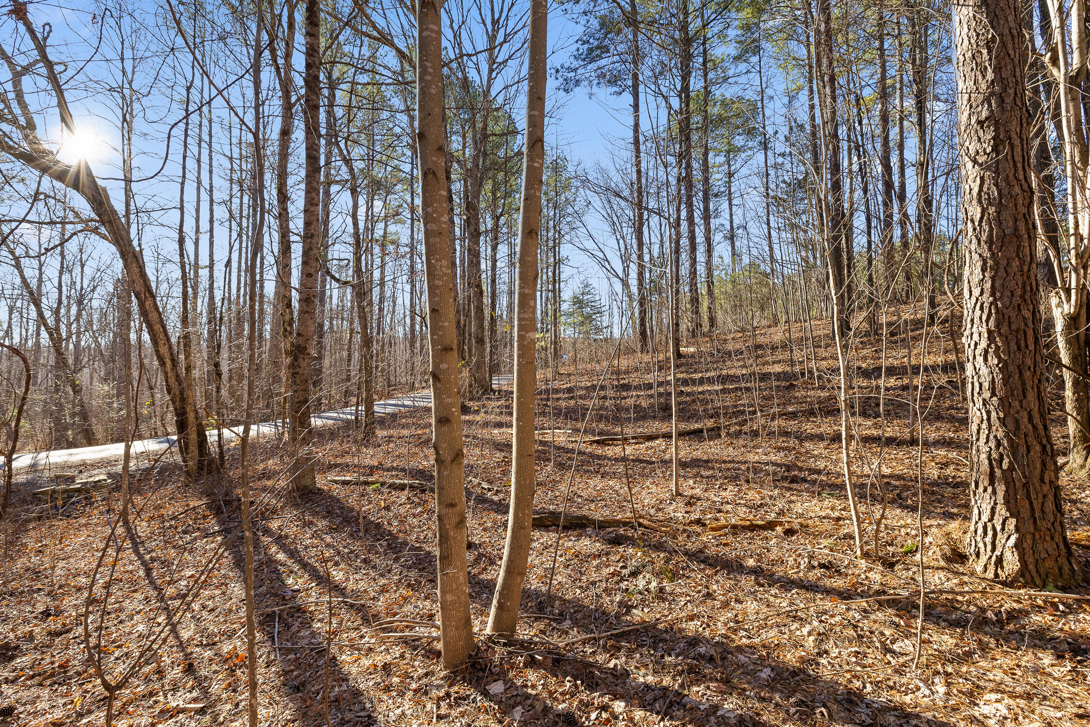 1 John Henry Lewis Road Dunlap, TN 37327 - Photo 9 of 23 1 John Henry Lewis Rd