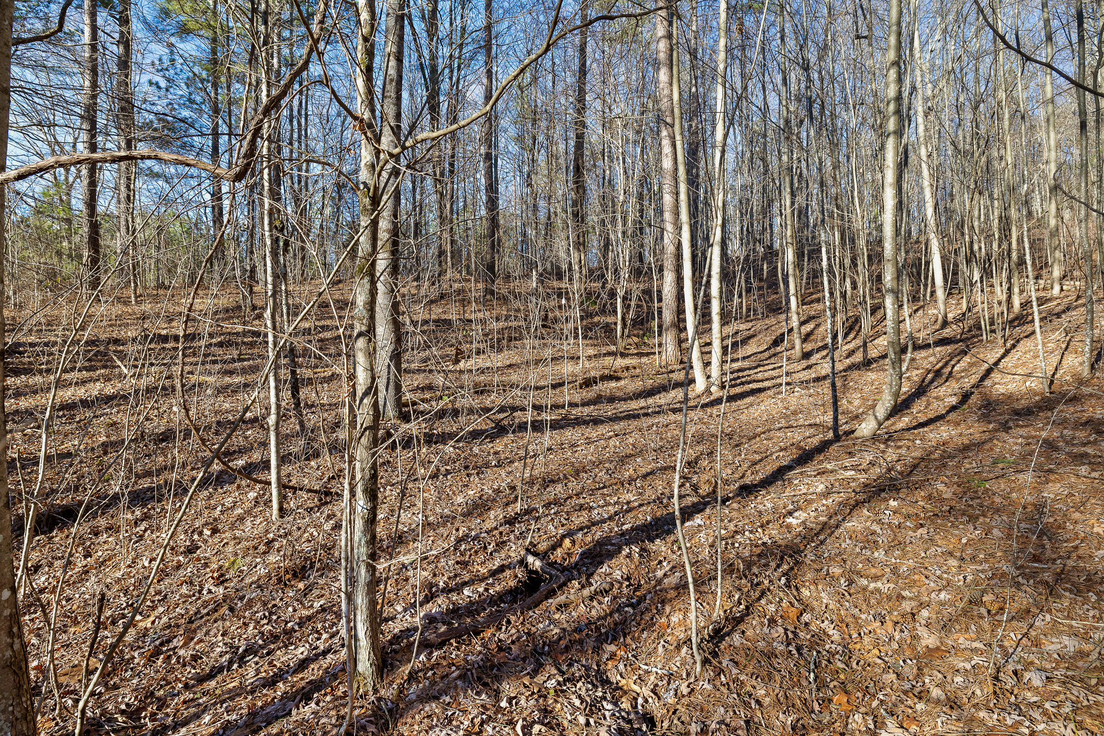 1 John Henry Lewis Road Dunlap, TN 37327 - Photo 10 of 23 1 John Henry Lewis Rd