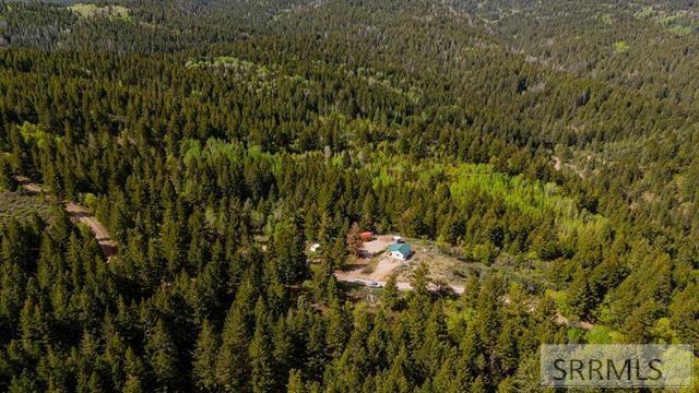 53 Squaw Creek Road Bancroft, ID 83217 - Photo 45 of 52