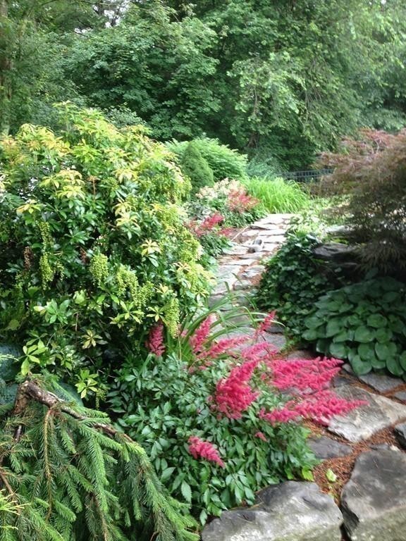 15 Delaware Road Medfield, MA 02052 - Photo 26 of 30 Gallery Image 26