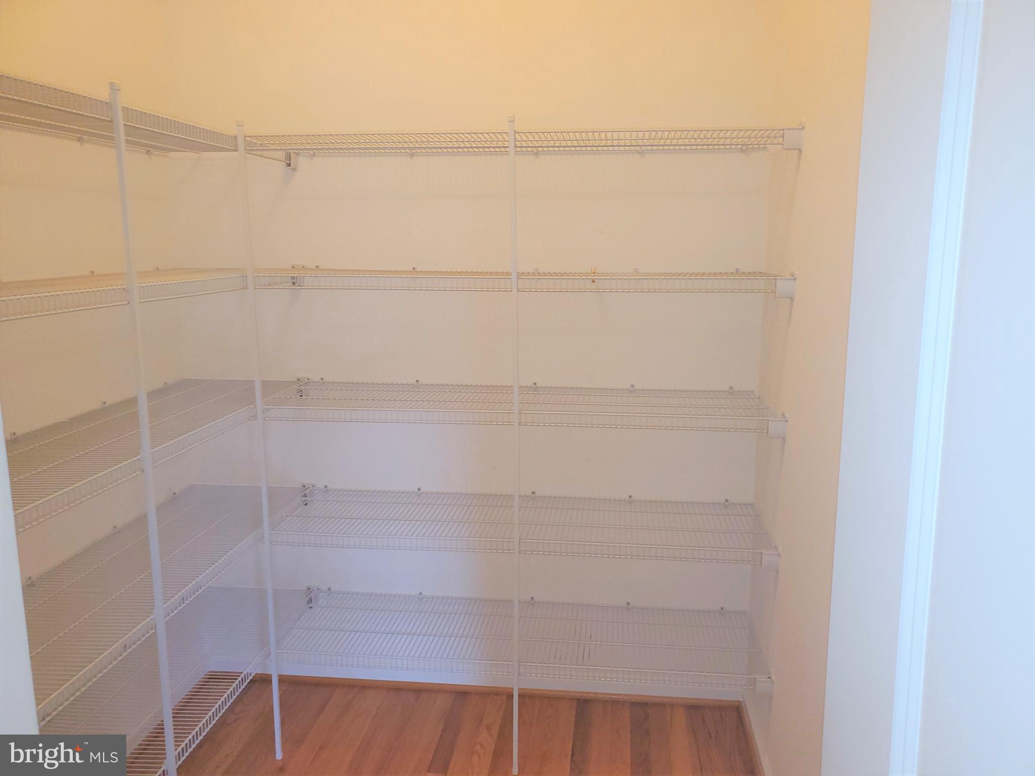 222 Stewart Road North East, MD 21901 - Photo 15 of 42 Pantry Closet