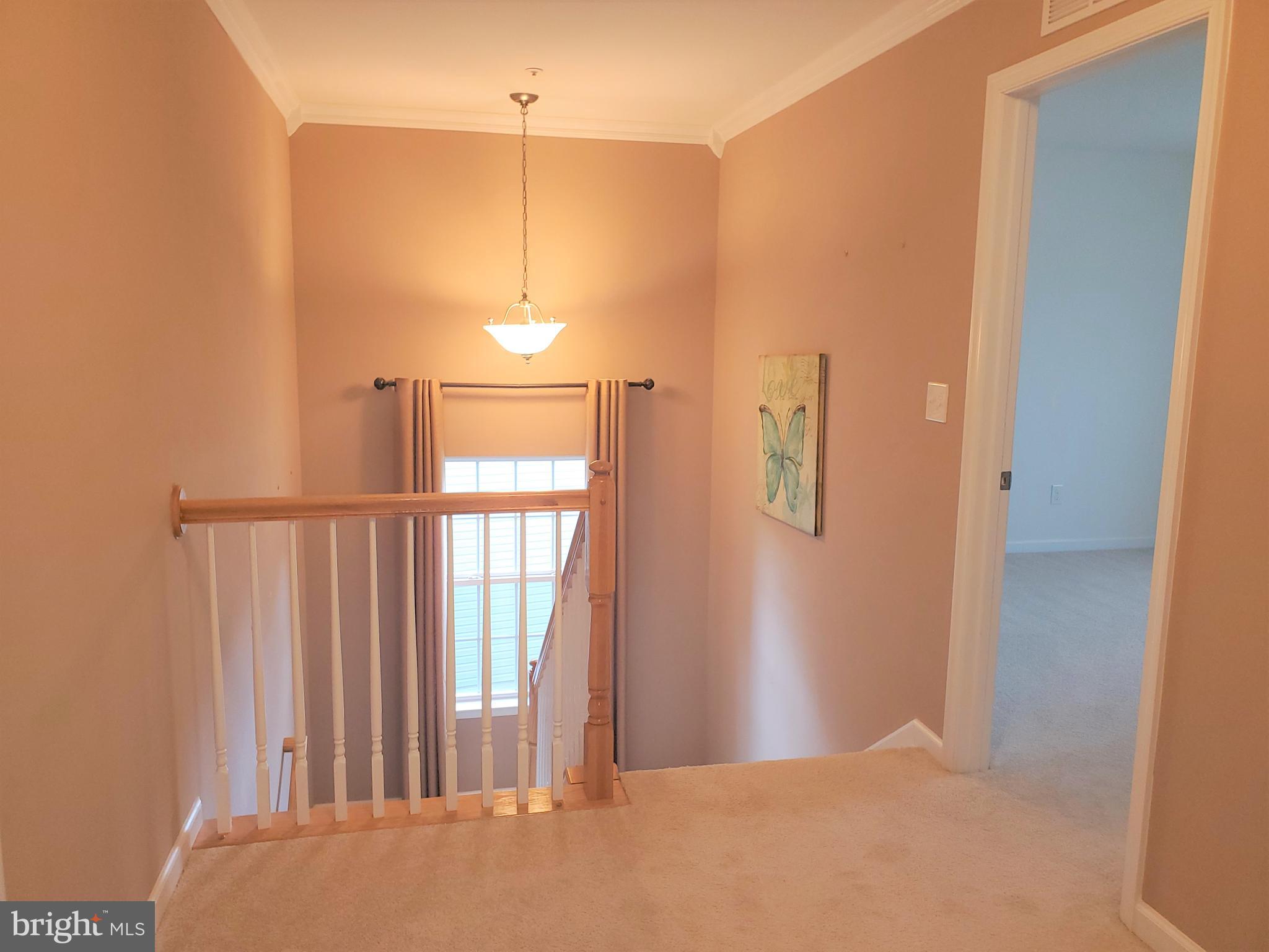 222 Stewart Road North East, MD 21901 - Photo 20 of 42 Gallery Image 20