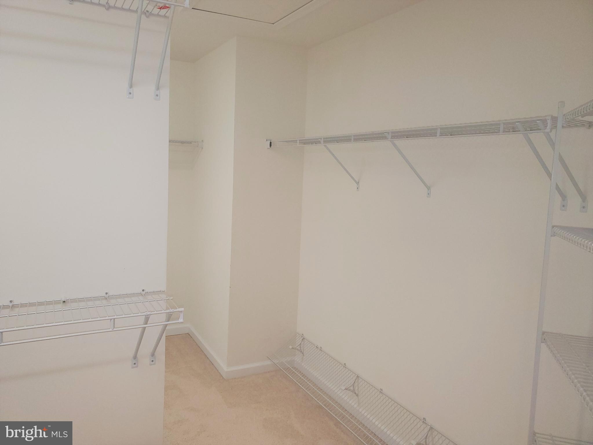 222 Stewart Road North East, MD 21901 - Photo 24 of 42 Huge Master Closet