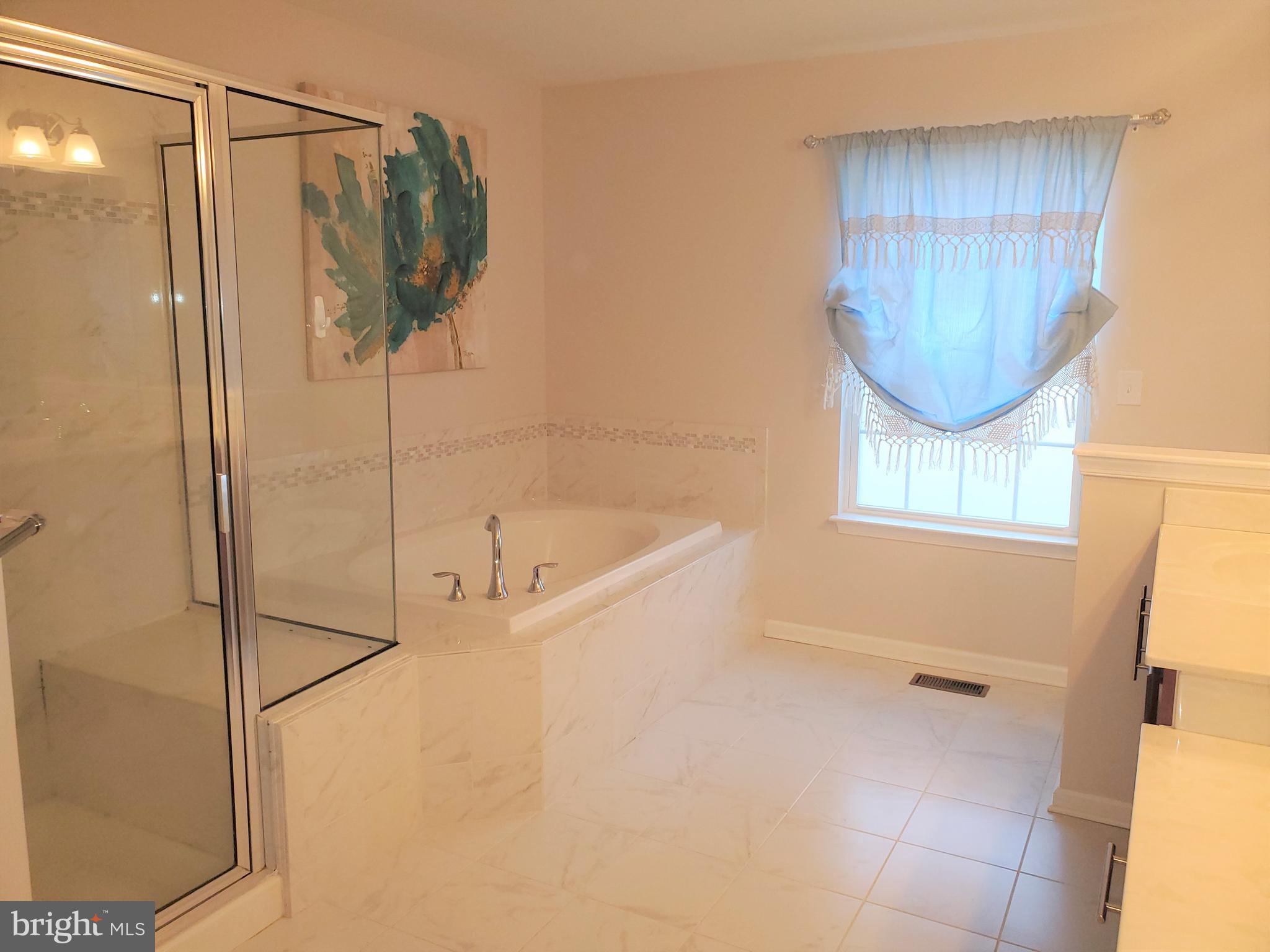 222 Stewart Road North East, MD 21901 - Photo 27 of 42 Master Bath