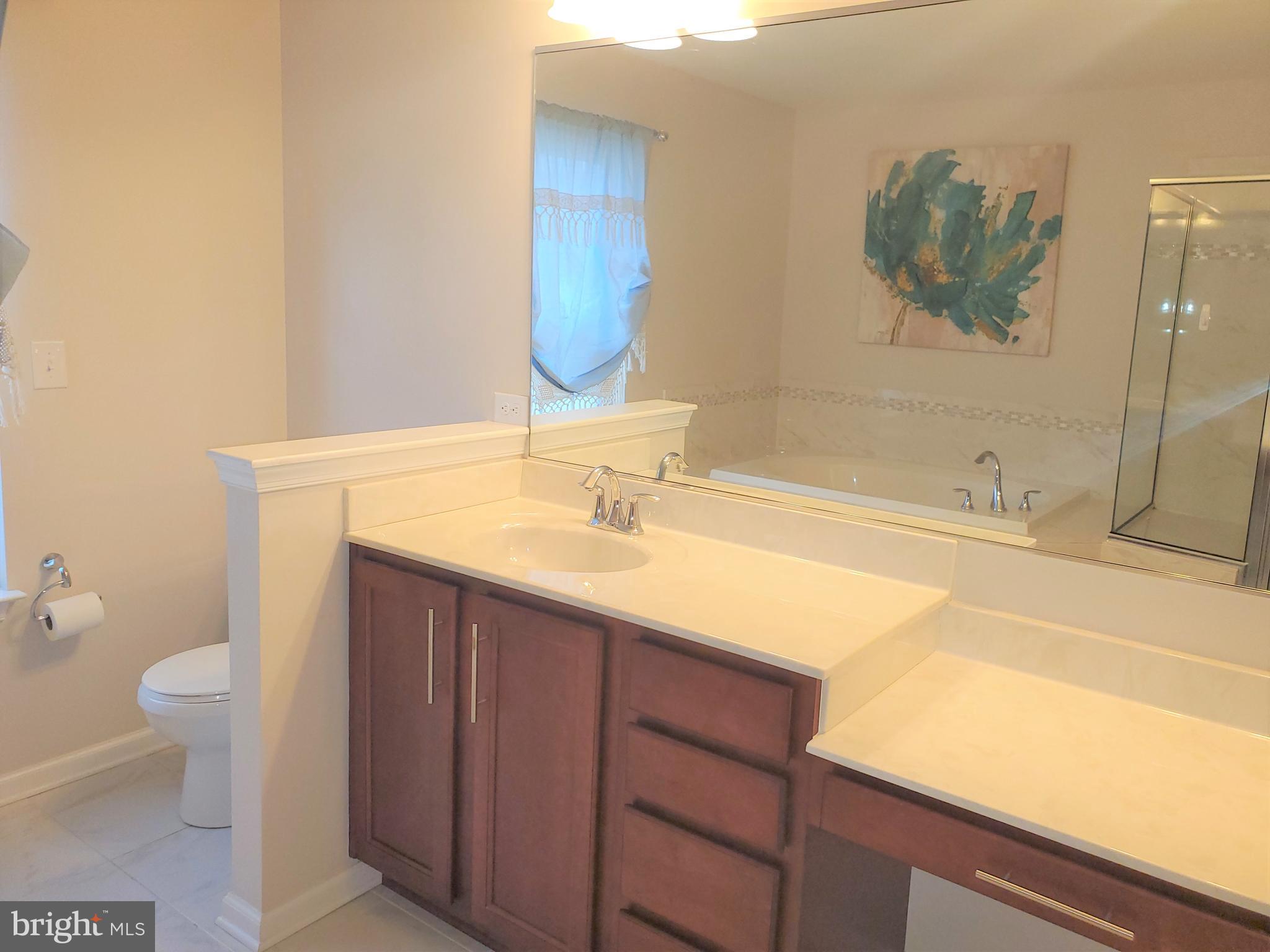 222 Stewart Road North East, MD 21901 - Photo 28 of 42 Master Bath