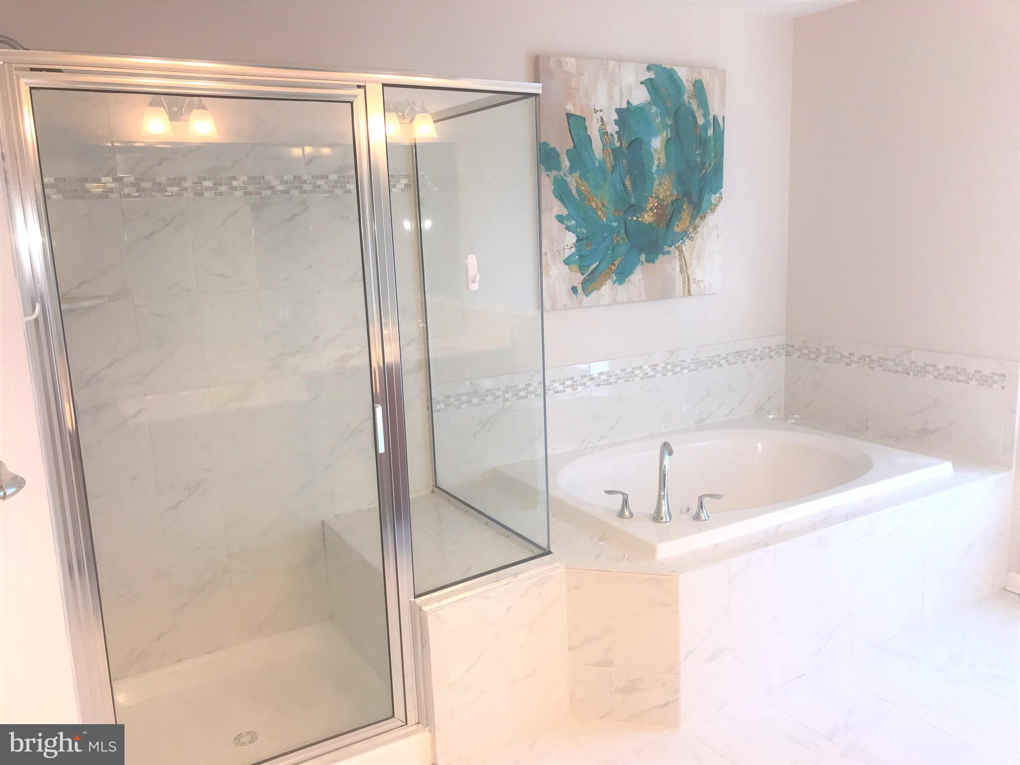 222 Stewart Road North East, MD 21901 - Photo 29 of 42 Master Bath