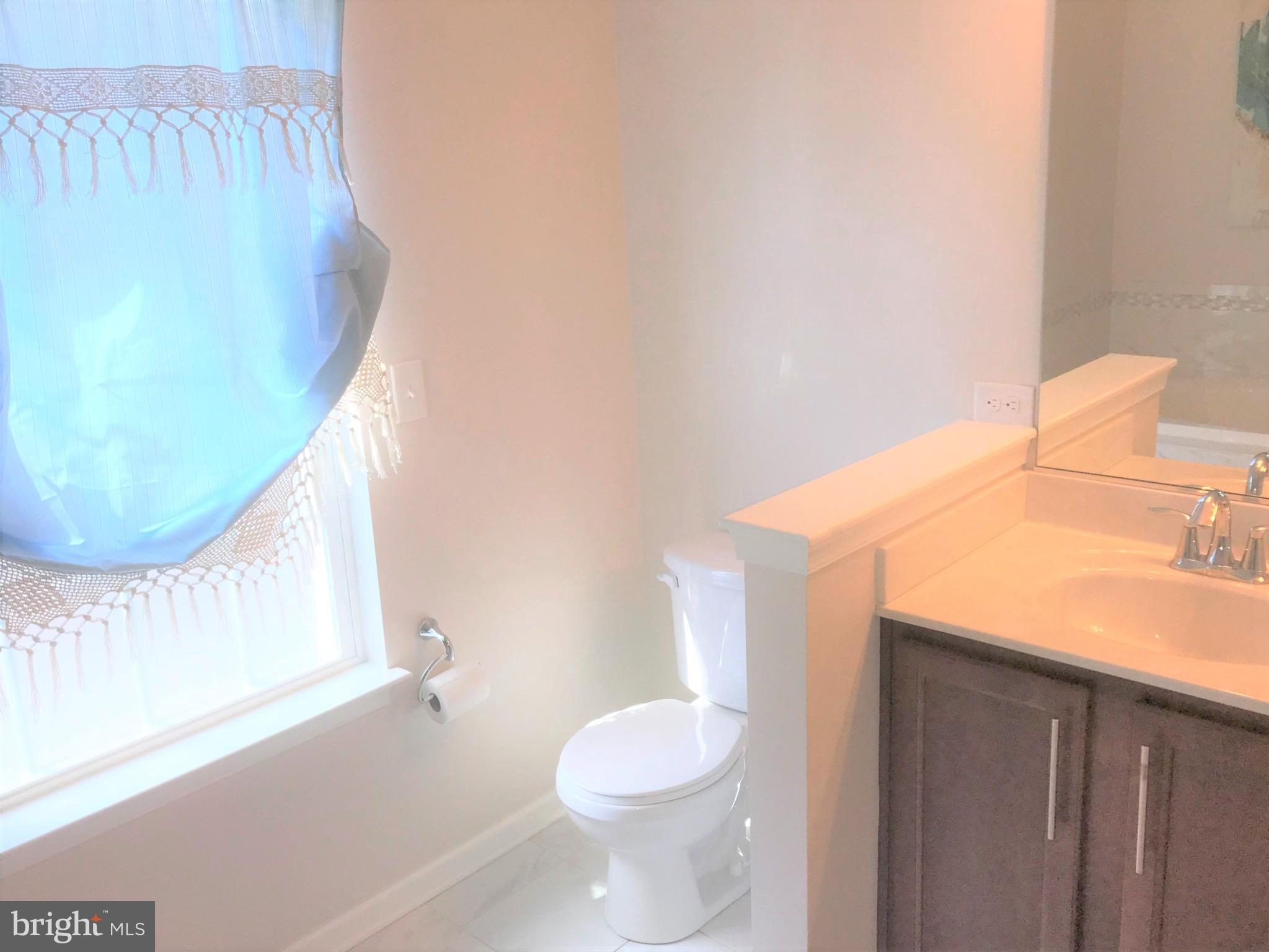 222 Stewart Road North East, MD 21901 - Photo 30 of 42 Master Bath