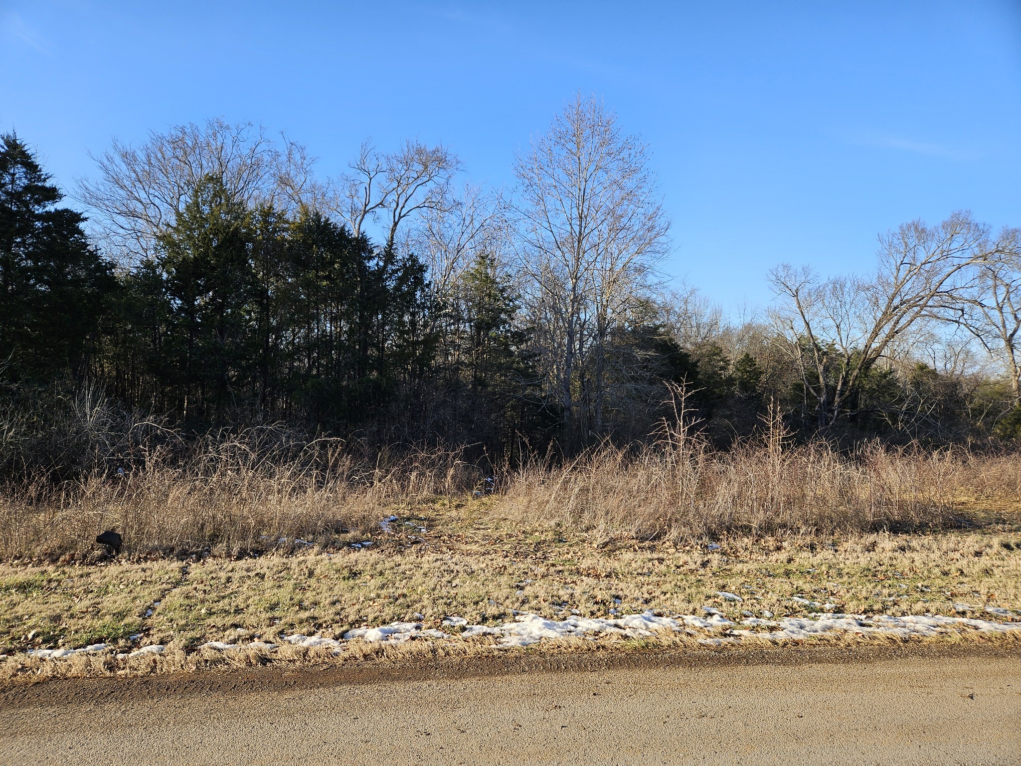 0 Sharp Springs Road Smyrna, TN 37167 - Photo 4 of 7 a view of a lake view