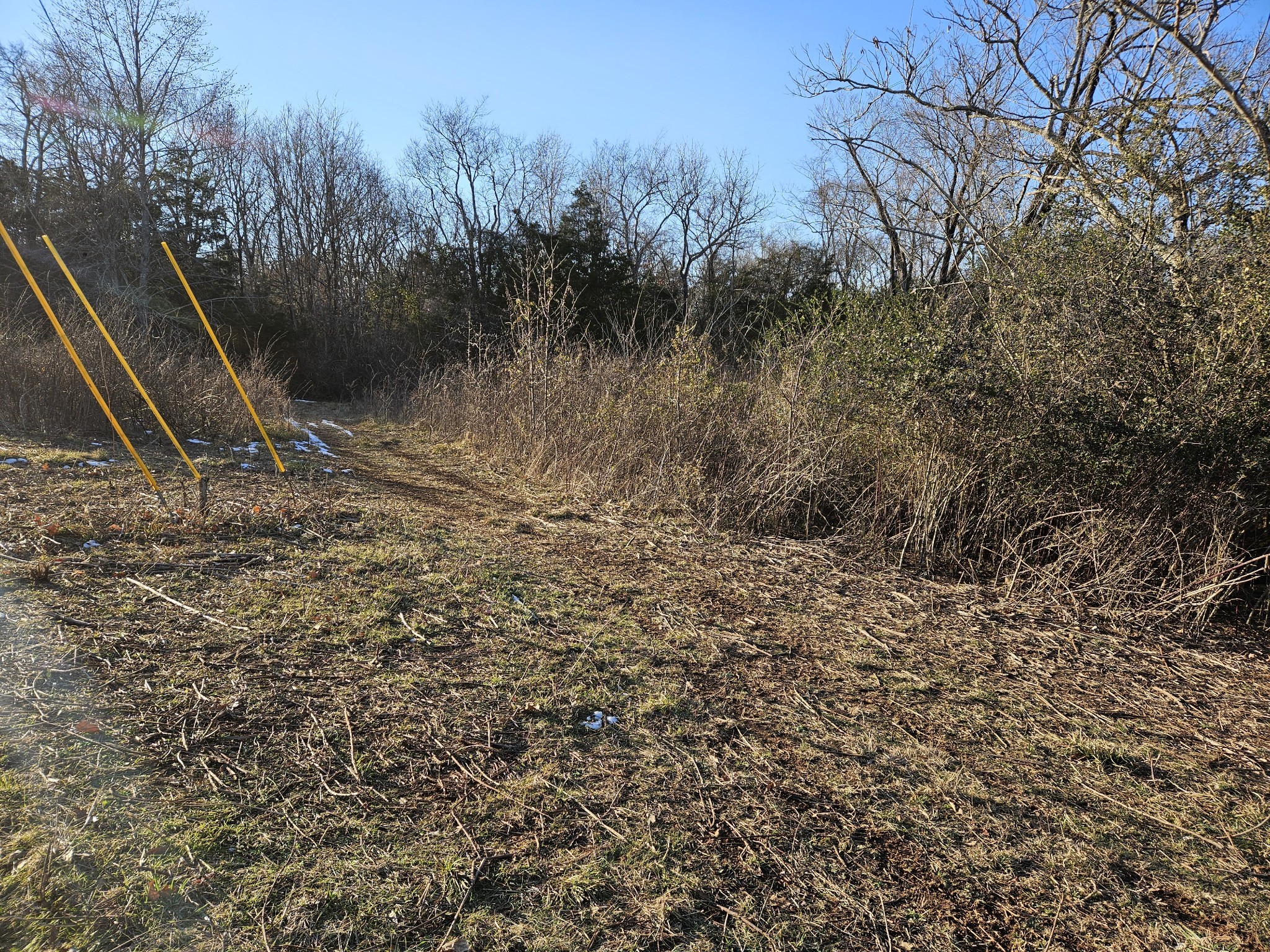 0 Sharp Springs Road Smyrna, TN 37167 - Photo 6 of 7 a view of a yard with plants and wooden fence