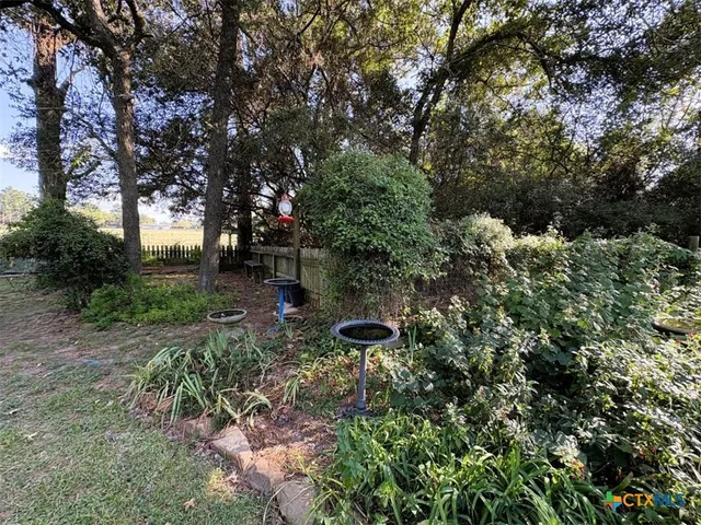 a view of a tree in a yard